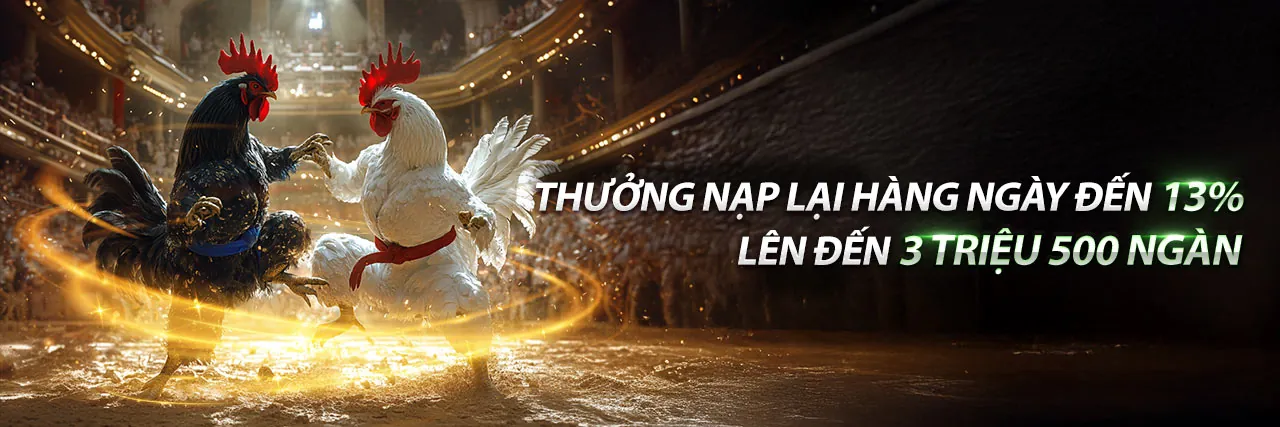 Tin tức mới nhất từ nhà cái OKVIP