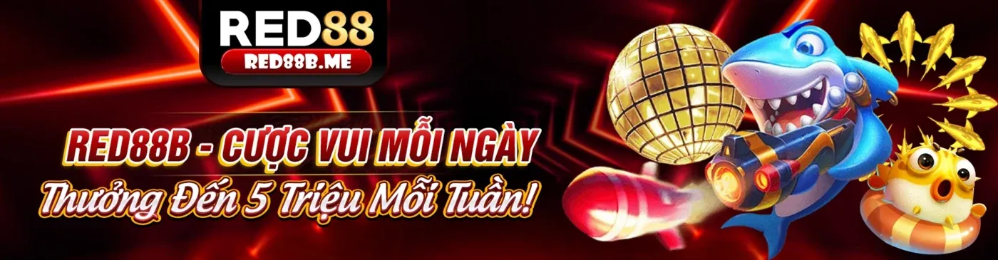 Hình ảnh tổng quan về các chiến lược cá cược thể thao và casino tại nhà cái OKVIP
