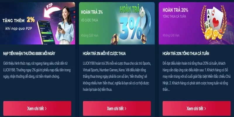 Chiến lược cá cược 2024